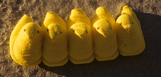Illustration for article titled Peeps Produce Distinctive Traces of their Motions